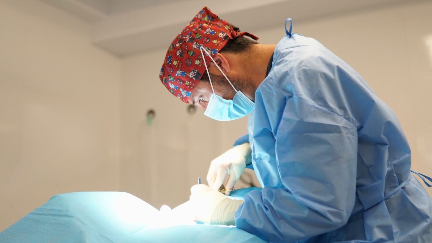 Cirujano veterinario durante una intervención