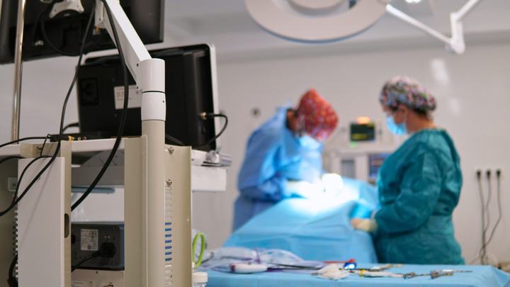 Equipo de endoscopia y laparoscopia veterinaria en quirófano