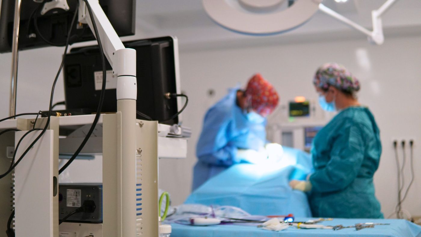 Equipo de endoscopia y laparoscopia veterinaria en quirófano