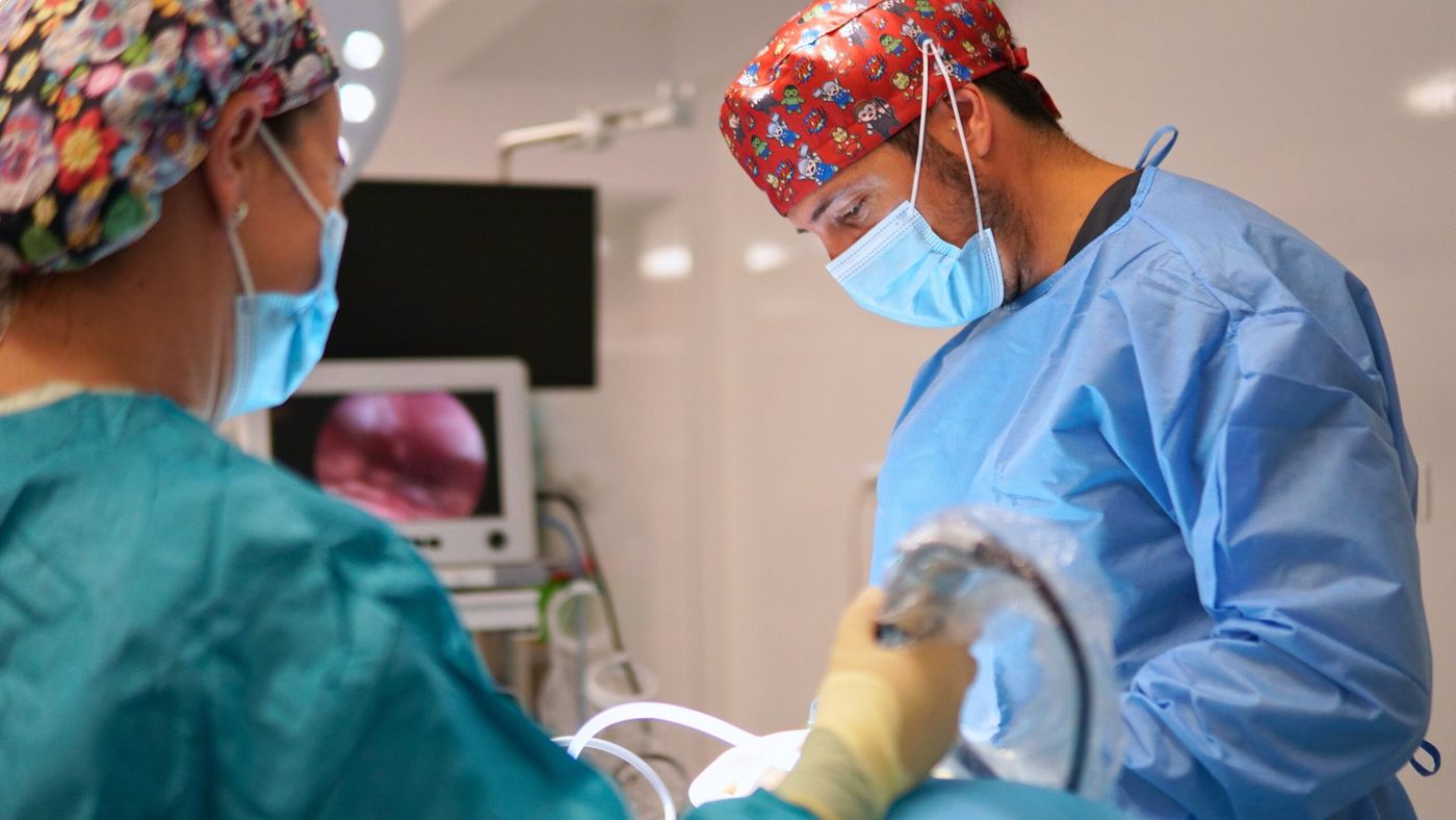 Cirugía por laparoscopia en la clínica veterinaria de Aluche