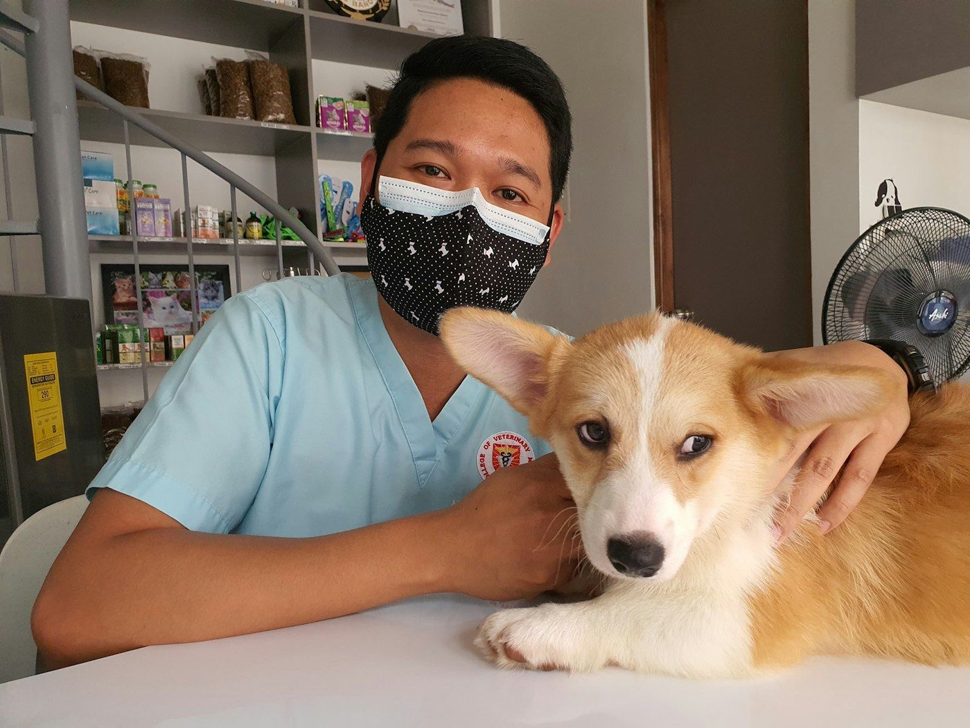 Veterinario con un cachorro en la consulta